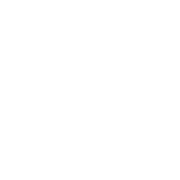 Logo Blanc A2 Conseil 600X600
