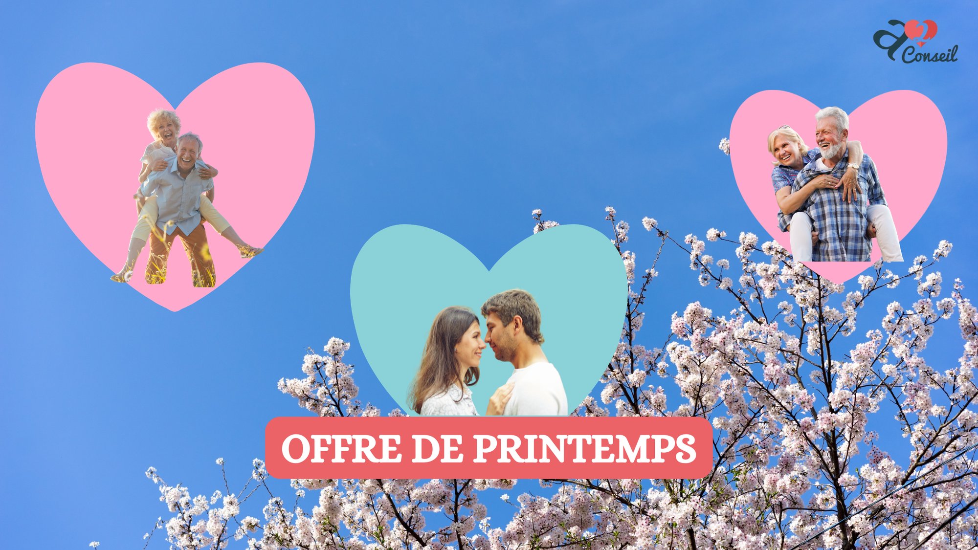 bandeaux newsletter (Bannière de blog)-5-1